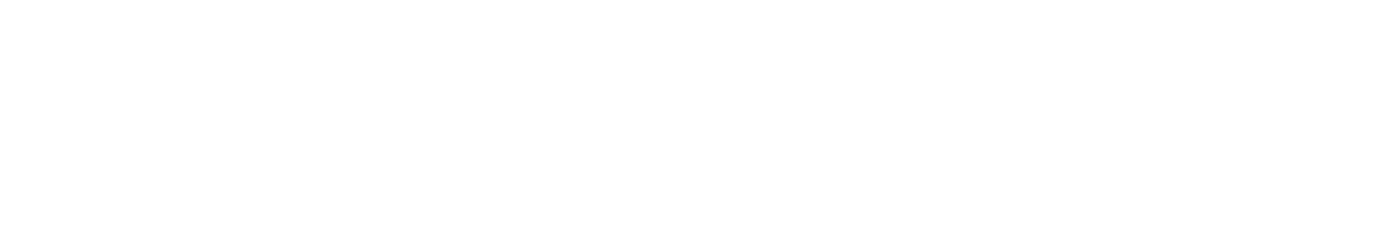 AseguraMax